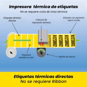 Caja de 20 rollos de 800 etiquetas adhesivas térmico 100x50mm TD blanco - Imagen 3