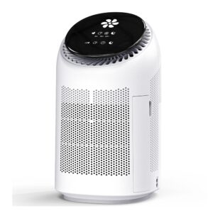 Purificador de aire A01 con deshumificador 2 en 1 hasta 25m2 con temporizador y modo sleep