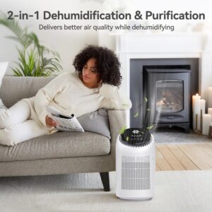 Purificador de aire A01 con deshumificador 2 en 1 hasta 25m2 con temporizador y modo sleep - Imagen 5