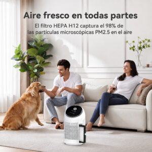 Purificador de aire A01 con deshumificador 2 en 1 hasta 25m2 con temporizador y modo sleep - Imagen 6